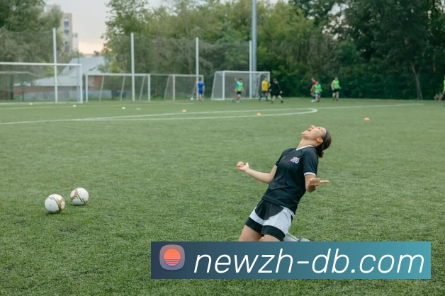 DB多寶官网发展历程